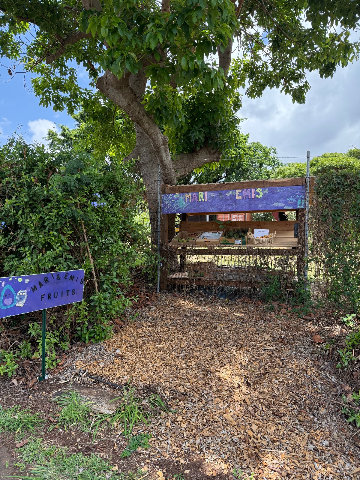 M & E's Fruit Stand